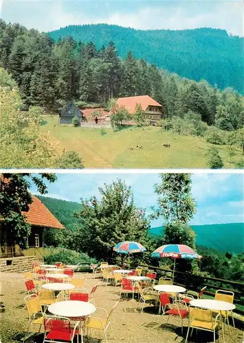 AK / Ansichtskarte  Nordrach Gasthaus Pension Hoferer Ausflugsziel Terrasse