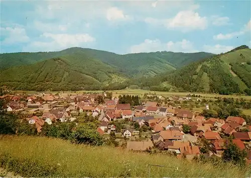 AK / Ansichtskarte 73927988 Steinach_Kinzigtal_Schwarzwald Panorama