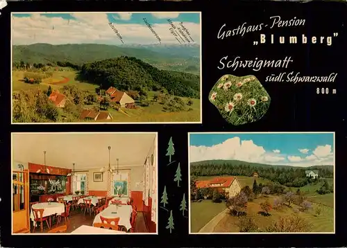 AK / Ansichtskarte 73928256 Schweigmatt_Schopfheim Gasthaus Pension Blumberg Gaststube Fliegeraufnahmen