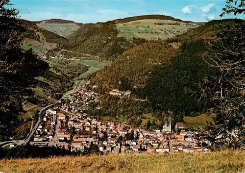 AK / Ansichtskarte  Todtnau Panorama