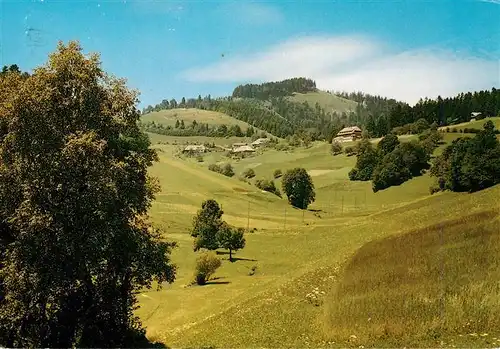 AK / Ansichtskarte  Neuenweg Gasthof Pension Haldenhof