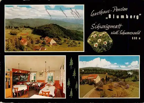 AK / Ansichtskarte 73928340 Schweigmatt_Schopfheim Gasthaus Pension Blumberg Panorama Gastraum