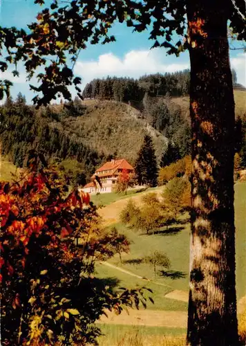 AK / Ansichtskarte  Neuenweg Gasthof Haldenhof