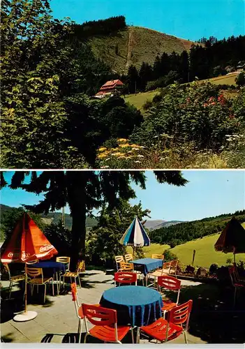 AK / Ansichtskarte  Neuenweg Panorama Gasthof Pension Haldenhof Terrasse