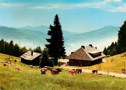 AK / Ansichtskarte  Utzenfeld_Schwarzwald Almgasthaus Knoepflesbrunnen