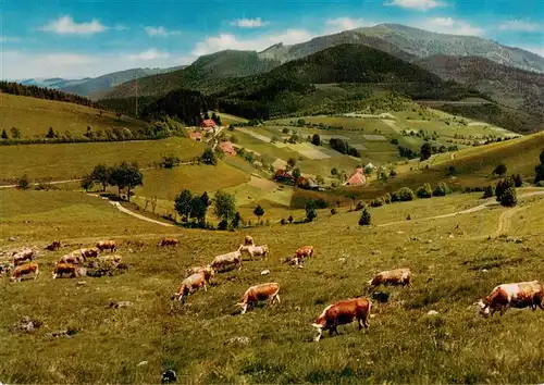 AK / Ansichtskarte 73928353 Neuenweg Blick vom Sirnitzsattel zum Belchen