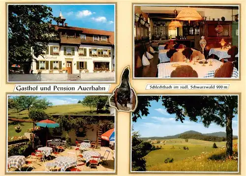 AK / Ansichtskarte 73928365 Schlechtbach_Schopfheim_Schwarzwald Gasthof Pension Auerhahn Gastraum Terrasse Panorama