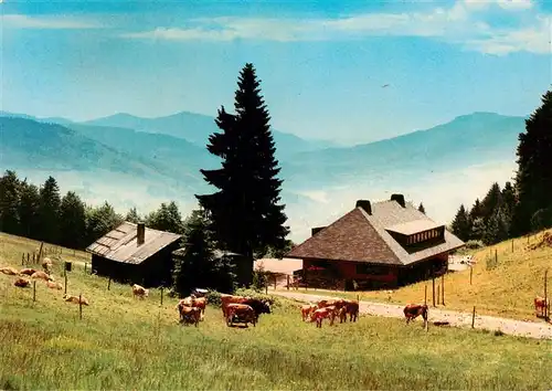 AK / Ansichtskarte  Utzenfeld_Schwarzwald Almgasthaus Knoepflesbrunnen Panorama