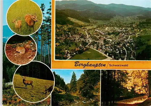 AK / Ansichtskarte 73928427 Berghaupten Fliegeraufnahme Reh mit Kitz Eichhoernchen Hirsch Waldpartien
