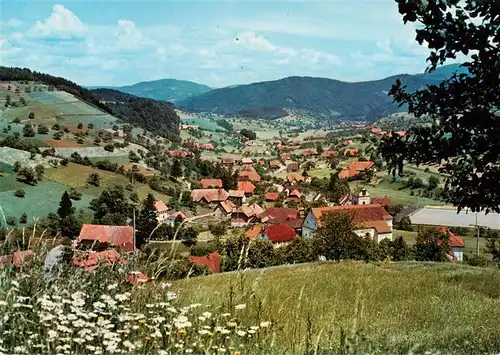 AK / Ansichtskarte  Welschensteinach_Steinach Panorama