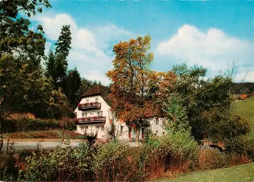 AK / Ansichtskarte  Fischerbach_Kinzigtal Gasthaus Pension Zum Hirsch