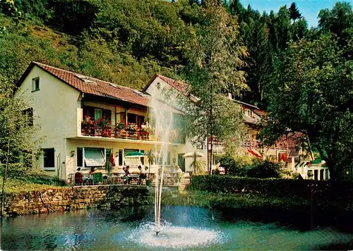 AK / Ansichtskarte  Loecherberg_Oberharmersbach Hotel Pension Schwarzwald Idyll Fontaene