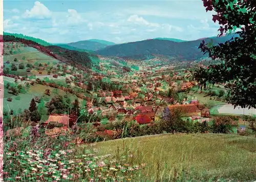 AK / Ansichtskarte  Welschensteinach_Steinach Panorama