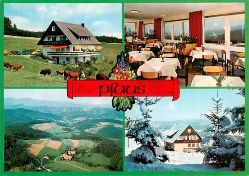 AK / Ansichtskarte  Muehlenbach_Wolfach_Kinzigtal_Baden Cafe Pension Pfaus Gaststube Passhoehe Elztal