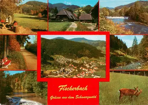 AK / Ansichtskarte 73928647 Fischerbach_Kinzigtal Park Kinzigpartien Waldweg Panorama Rehe
