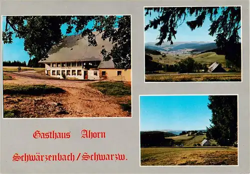 AK / Ansichtskarte  Schwaerzenbach_Titisee-Neustadt Gasthaus Ahorn Panorama