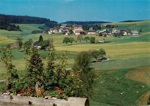 AK / Ansichtskarte  Waldau_Neustadt Gasthof Pension Sonne Post Panorama