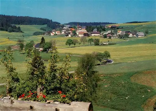 AK / Ansichtskarte  Waldau_Neustadt Gasthof Pension Sonne Post Panorama