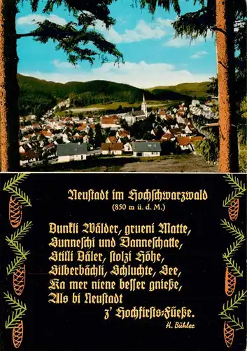 AK / Ansichtskarte 73928847 Neustadt__Schwarzwald_Titisee-Neustadt Panorama