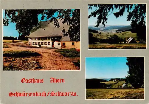 AK / Ansichtskarte  Schwaerzenbach_Titisee-Neustadt Gasthaus Ahorn Panorama