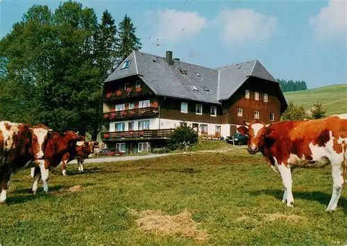 AK / Ansichtskarte  Titisee-Neustadt Buehlhof Gasthaus