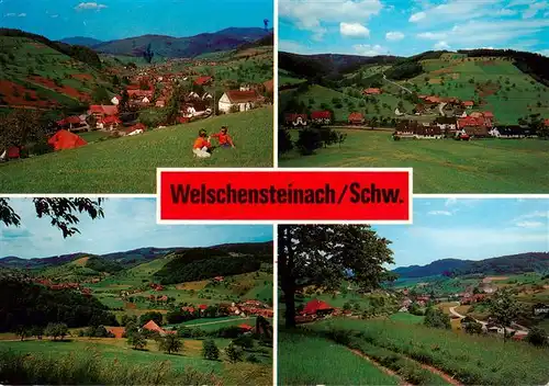 AK / Ansichtskarte 73928940 Welschensteinach_Steinach Panorama Teilansichten