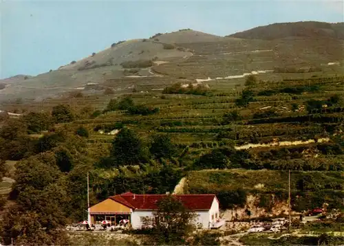 AK / Ansichtskarte  Oberrotweil Cafe Vogesenblick