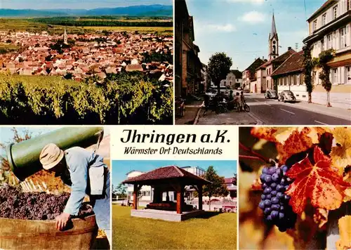 AK / Ansichtskarte 73929063 Ihringen_Kaiserstuhl Panorama Ortspartie Weinlese