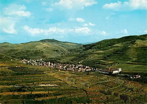 AK / Ansichtskarte  Oberbergen_Vogtsburg_BW Panorama mit Badberg