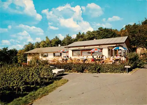 AK / Ansichtskarte  Ihringen_Kaiserstuhl Rasthaus Lenzenberg