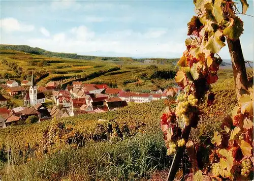 AK / Ansichtskarte  Bickensohl_Vogtsburg_Kaiserstuhl Panorama