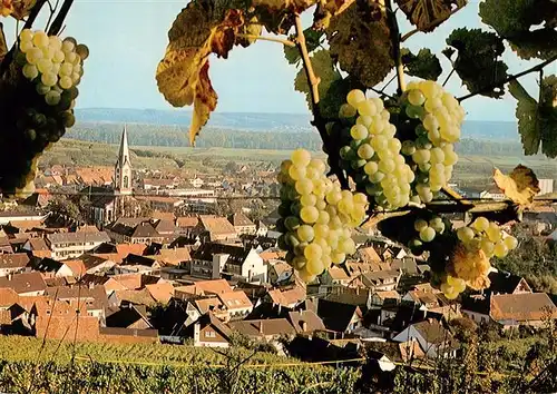 AK / Ansichtskarte  Ihringen_Kaiserstuhl Panorama