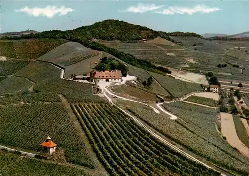 AK / Ansichtskarte  Ihringen_Kaiserstuhl Blankenhornsberg Versuchs und Lehrgut fuer Weinbau 