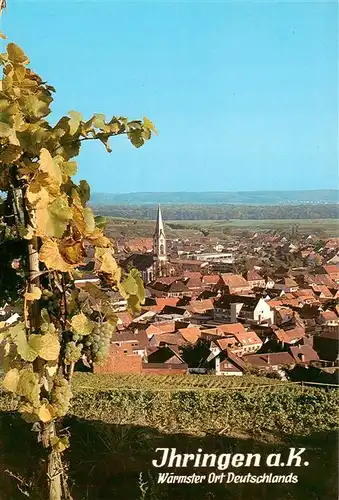 AK / Ansichtskarte 73929147 Ihringen_Kaiserstuhl Panorama