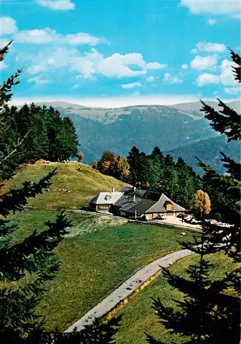 AK / Ansichtskarte 73929162 Muenstertal__Schwarzwald Almgaststaette Kaelbelescheuer Panorama