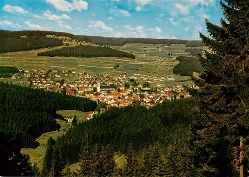 AK / Ansichtskarte  Neustadt__Schwarzwald_Titisee-Neustadt Panorama