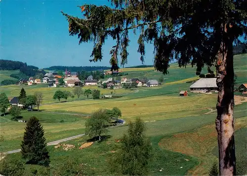 AK / Ansichtskarte  Waldau_Neustadt Gasthof Pension Post