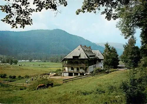 AK / Ansichtskarte  Titisee-Neustadt Jugendherberge Veltishof