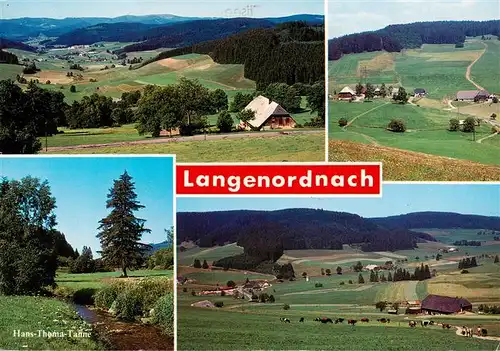 AK / Ansichtskarte  Langenordnach_Titisee-Neustadt Panorama Hans Thoma Tanne