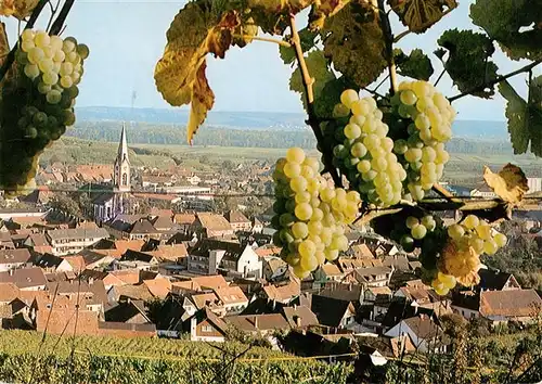 AK / Ansichtskarte  Ihringen_Kaiserstuhl Panorama Kirche