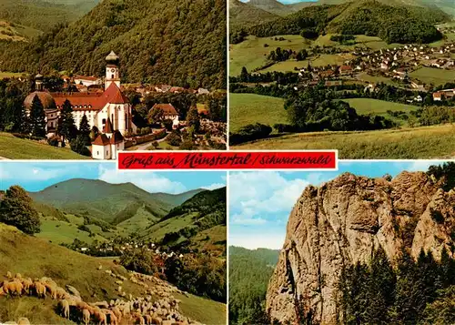 AK / Ansichtskarte 73929573 Muenstertal__Schwarzwald Kirche St Trudpert Panorama Schafherde Felsen