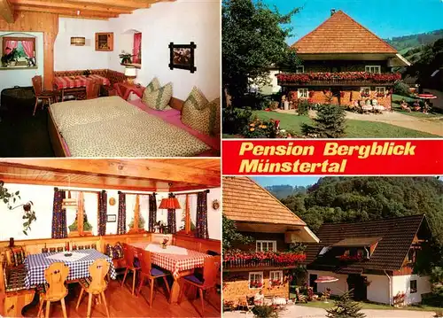 AK / Ansichtskarte 73929607 Muenstertal__Schwarzwald Pension Bergblick Gaststube Zimmer Park