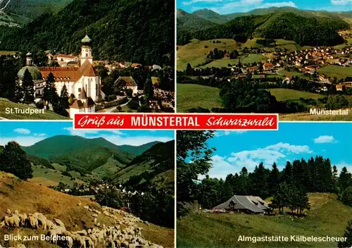 AK / Ansichtskarte 73929616 Muenstertal__Schwarzwald St Trudpert Belchenblick Muenstertal Almgaststaette Kaelbelescheuer