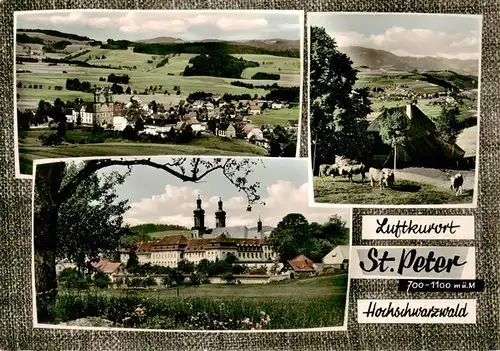 AK / Ansichtskarte 73929818 St_Peter_Schwarzwald Panorama Wallfahrtskirche 