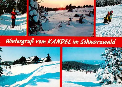 AK / Ansichtskarte  Kandel_Breisgau Skipisten Langlauf Schlittenfahrt Berggasthaus Kandel