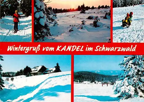 AK / Ansichtskarte  Kandel_Breisgau Langlauf Winteridyll Schlittenfahrt Berghotel Kandel