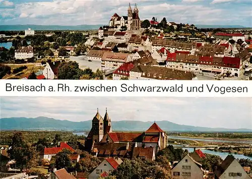 AK / Ansichtskarte 73930028 Breisach_Rhein Stadtpanorama Blick zum Muenster
