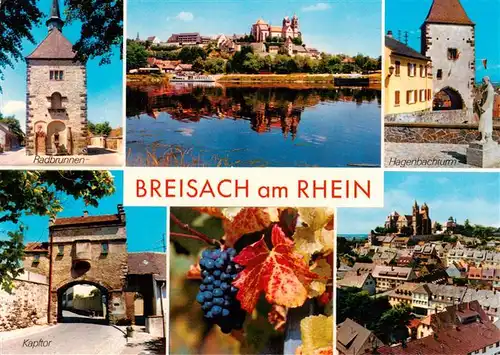 AK / Ansichtskarte 73930039 Breisach_Rhein Partie am Rhein Blick zum St. Stephansmuenster Radbrunnen Hagenbachturm Kapftor Weinreben