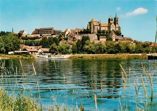 AK / Ansichtskarte  Breisach_Rhein Uferpartie am Rhein Blick zum St. Stephansmuenster