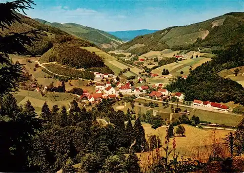 AK / Ansichtskarte  Oberwolfach Panorama Schwarzwald